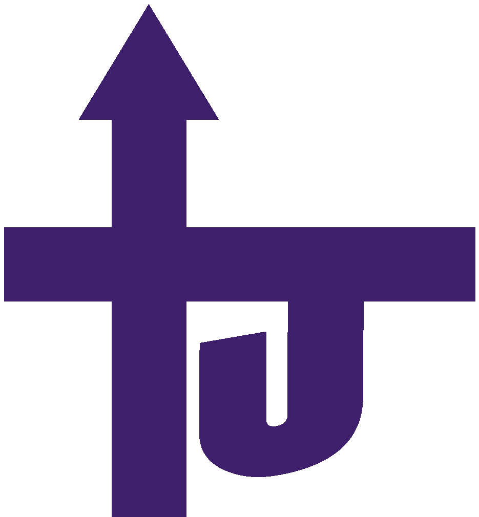 Team Jesus Hawai'i logo